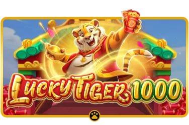 6v666 bet
